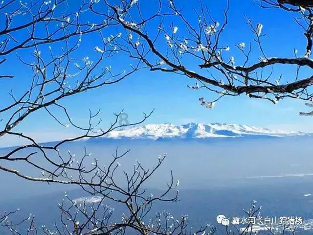 SAP ABAP干货 | 基础篇:四、数据输出(6)